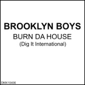 Burn Da House (Hard Beat Box Over Dub) artwork