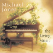 Michael Jones - Swallows In Flight