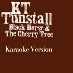 Black Horse and the Cherry Tree (Karaoke Version) - Single - KT Tunstall