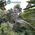 Amazing Morningsounds
