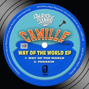 Way of the World - Single