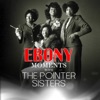 Pointer Sisters Interview - Single (Live Interview) - Single