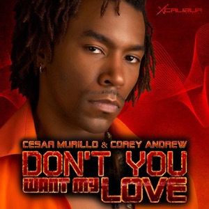 Don't You Want My Love - Single