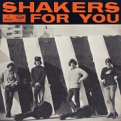 Shakers For You artwork