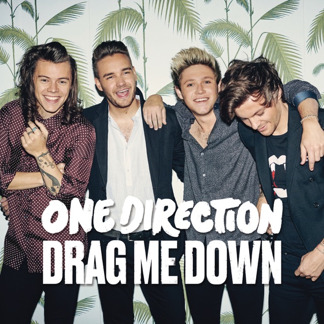 One Direction - Drag Me Down (feat. LunchMoney Lewis)