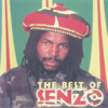 The Best of Senza - Senzo