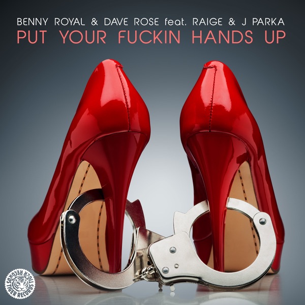 Put Your F****n' Hands Up (feat. Raige & J Parka) - Single