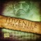 Pay Tha Rent (feat. Young Jeezy & Yo Gotti) - Juvenile lyrics