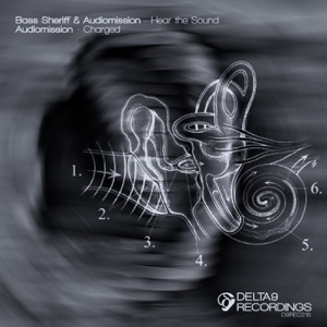 Hear the Sound - Single