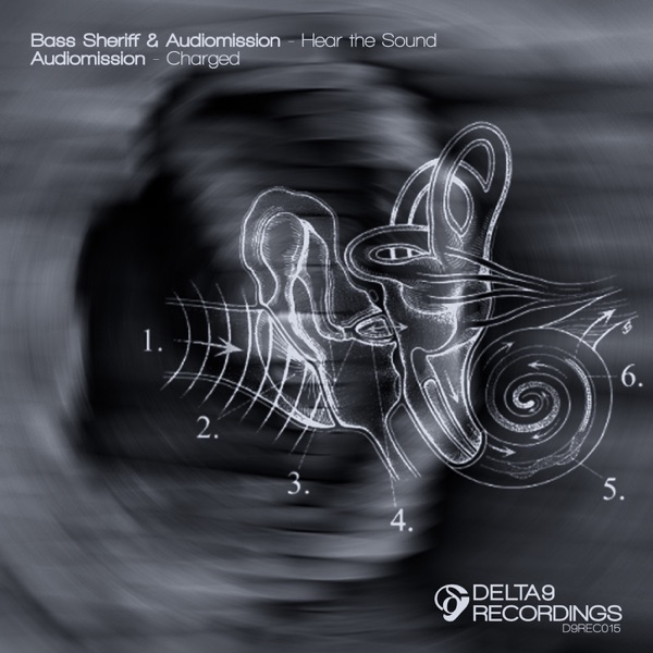 Hear the Sound - Single