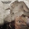 Iniquity - Thawed for Breeding