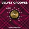 19 Velvet Grooves Volume Zen Niente