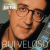 Grandes Êxitos - Rui Veloso - Rui Veloso