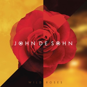 Wild Roses (Radio Edit)