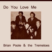 Brian Poole & The Tremeloes - Keep on Dancing