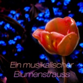 Rainer Kussmaul - The Four Seasons, Violin Concerto No. 1 in G Minor, RV 315 "Summer": III. Presto