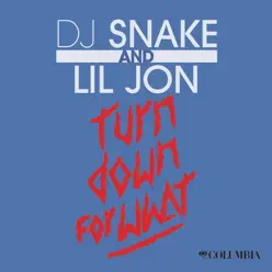 Turn Down for What - Single - Lil Jon