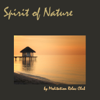 Spirit of Nature: Relaxing New Age Nature Sounds Meditation Music for Yoga, Reiki, Qi Gong and Tai Chi - Meditation Relax Club