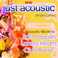 Acoustic Tribute to Sgt Peppers Lonely Hearts Club Band - Simon James