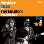 Ike & Tina Turner - Funkier Than a Mosquita's Tweeter (2002 Remaster)