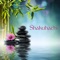 Slow Meditations - Shakuhachi Sakano lyrics