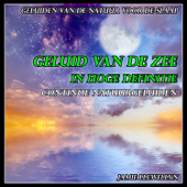 Geluiden van de Natuur voor de Slaap: Vogelzang met Ontspannende Muziek (Bonus Track)