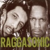 Raggasonic & Suprême NTM