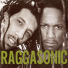Raggasonic - Raggasonic