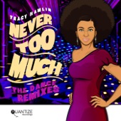 Never Too Much (Soulfuledge Alternative Mix) artwork