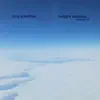 Bing Satellites - The Never Ending Noise