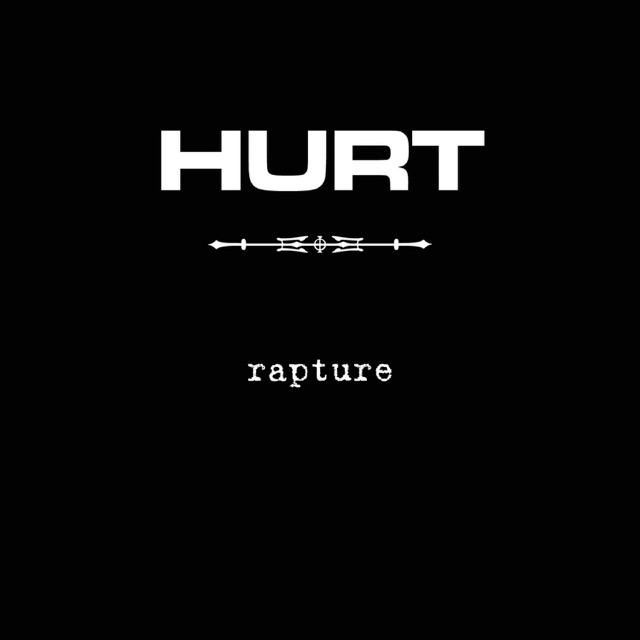 Hurt Rapture (Radio Edit) - Single Album Cover