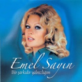 Emel Sayın - Neyim Var