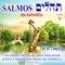 Salmos No. 123 - David & The High Spirit lyrics