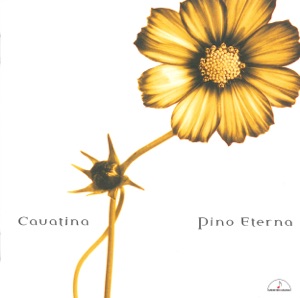 Cavatina