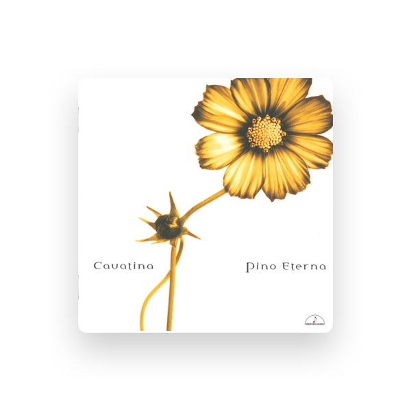 Pino Eterna's avatar
