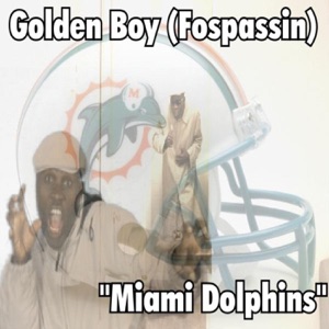 Miami Dolphins - Single