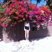 Sunlight on the Moon — Elf Power