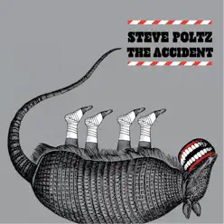 The Accident - Steve Poltz The Accident - Steve Poltz
