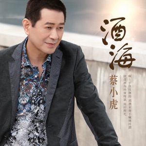 Tsai Hsiao Hu (蔡小虎) - Yong Gan De Nan Er (勇敢的男兒) - 排舞 音乐