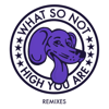 High You Are (Branchez Remix) - What So Not