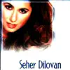 Seher Dilovan - Hımhıme