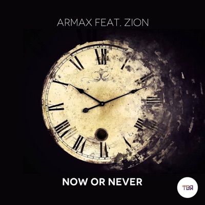 Now or Never (feat. Zion) - Single