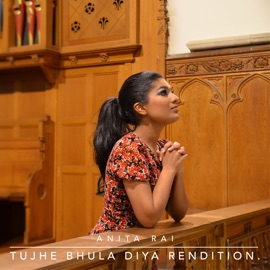 Tujhe Bhula Diya Rendition (feat. Deyo) Anita Rai