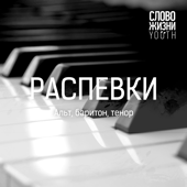 Cover art for Альт дияаа длин by Slovo Zhizni Youth