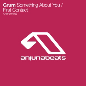 Something About You / First Contact - Single
