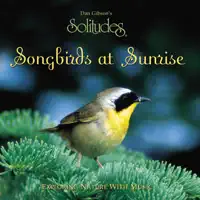 Dawn in the Valley — Dan Gibson's Solitudes
