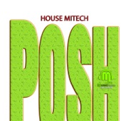 Posh (Leveg remix) artwork