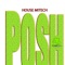 Posh (Leveg remix) artwork