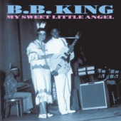 B.B. King - Quit My Baby