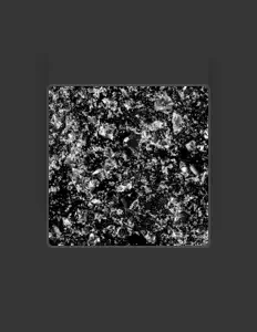 Escucha a Mayuko Hino, mira vídeos musicales, lee la biografía, consulta fechas de giras y mucho más.